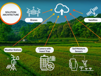 ICARDA Agri Research - Success Story Video