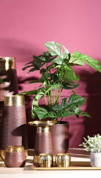 Photoshoot for Home Spaces